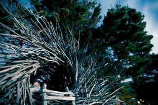 The Human Nest’at Big Sur_Jayson Fann