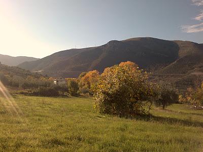 Un po' del mio autunno per voi