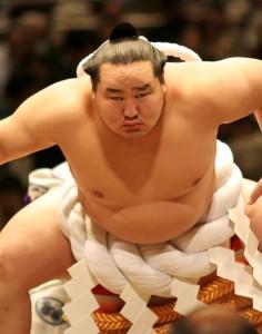 sumo