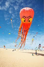 Aquiloni fuerteventura