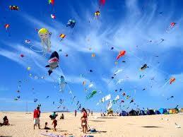 Aquiloni fuerteventura2