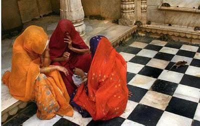 Il Tempio dei Topi in Rajastan - India