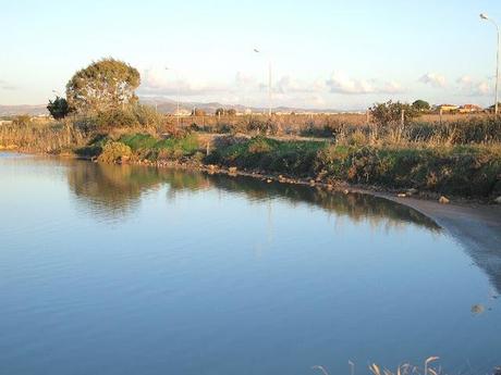 Valderice e saline di Trapani, 6 novembre 2011