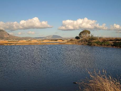 Valderice e saline di Trapani, 6 novembre 2011