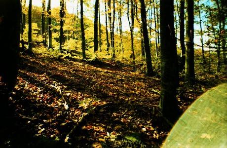 LOMOGRAPHY • La Sardina, Lomography Color Slide x-pro 200, andando per funghi....