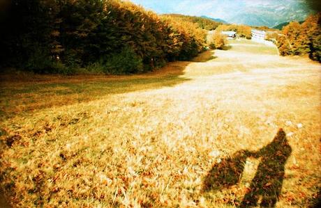 LOMOGRAPHY • La Sardina, Lomography Color Slide x-pro 200, andando per funghi....