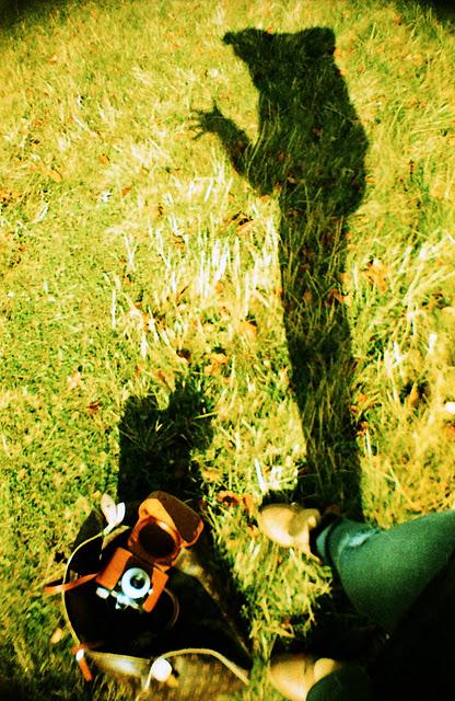 LOMOGRAPHY • La Sardina, Lomography Color Slide x-pro 200, andando per funghi....