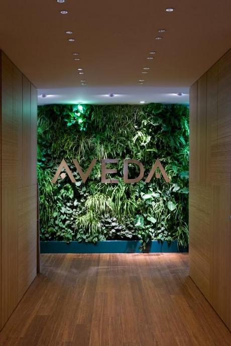 Aveda, la naturale arte del benessere