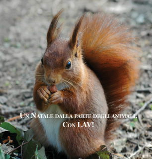 Il Natale, NATURALMENTE!