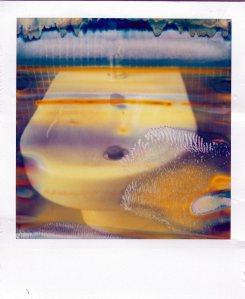Polaroiders Fundraising for Levanto – 4th auction reminder