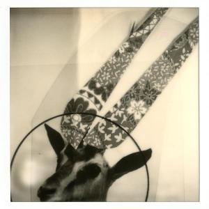 Polaroiders Fundraising for Levanto – 4th auction reminder