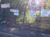 Buone News Cartellopoli!