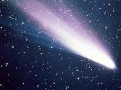 cometa Halley Halley's Comet