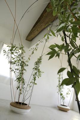 Greenroom di Tomas Alonso