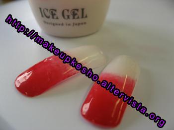 ICE GEL 「アイスジェル」 Nail Art