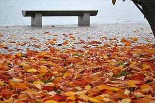 Visioni d'autunno sul Lago Maggiore.