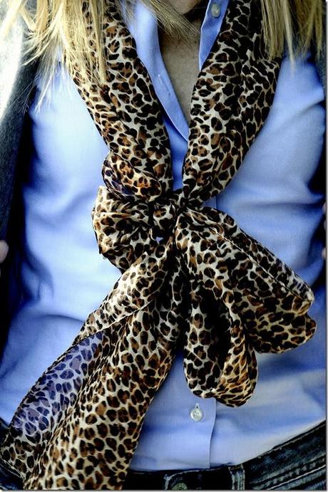 1_animalier alexander-mcqueen