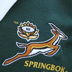 Coetzee-Erasmus, composizioni springboks