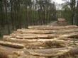 ferma boome pellet