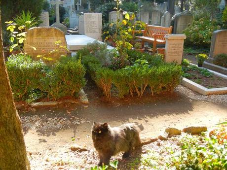 Il cimitero acattolico di Roma