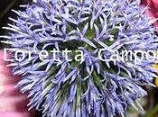 cosa senti, andrà bene?"