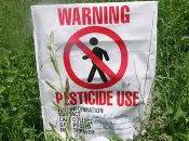 Efsa: meno pesticidi cibo Europa