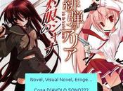 Novel, light novel, visual novel eroge, cosa sono?