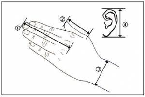 Presidente Napolitano, prima di designare il nuovo premier ascolti la Scienza!