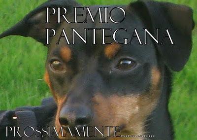 Premio pantegana 2011