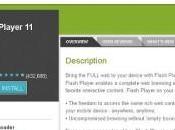 Aggiornamento Flash Player 11.1