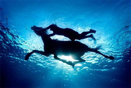 Zena Holloway e le sue visioni acquatiche