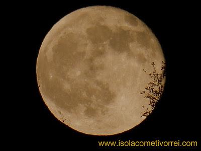 Ho catturato la Luna...