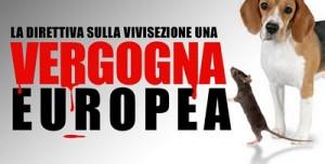 banner vergogna europea 300x152 Cosa prevede il nuovo testo della Direttiva 2010/63/UE sulla Vivisezione