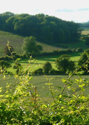 La “rinascita” degli  Sparkling wines inglesi