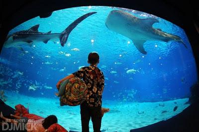 Viaggi nel Mondo - L' acquario più grande al Mondo