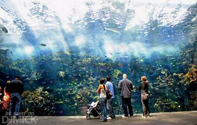 Viaggi nel Mondo - L' acquario più grande al Mondo
