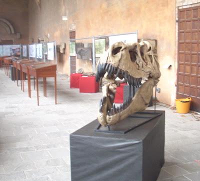 I dinosauri a Pavia