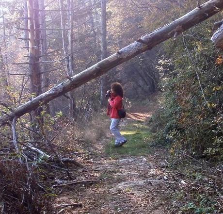 Trekking in Lessinia: oggi Monte Pastello (12/11/2011)