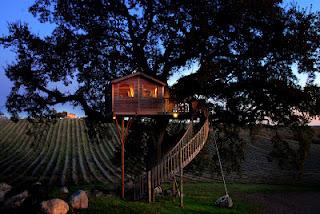 Le mille e una notte!