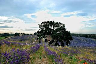 Le mille e una notte!