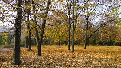 Il sole d'autunno