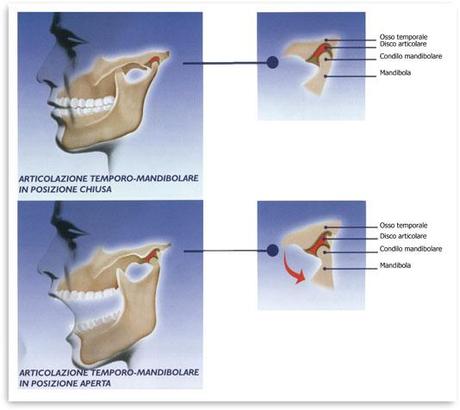 Il Chiropratico & il Dentista. Parte 7