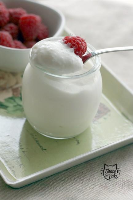 Yogurt colato (yogurt greco)