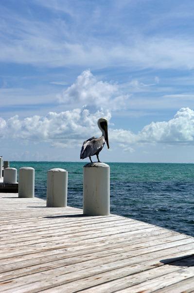 Si parte, tutti a bordo! Destinazione: Turks & Caicos, Caraibi!