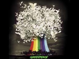 irene grandi - greenpeace