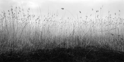 Ars Imago presenta: “Print Review: lettura ed analisi della stampa in bianco e nero”