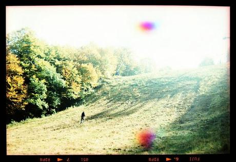 Lomography • Agfa Clack, Fuji T64 RTP scaduta 12/2008 e le montagne..