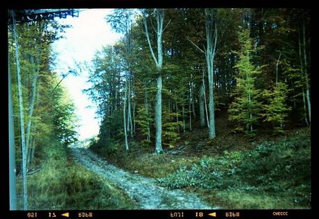 Lomography • Agfa Clack, Fuji T64 RTP scaduta 12/2008 e le montagne..
