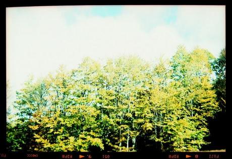 Lomography • Agfa Clack, Fuji T64 RTP scaduta 12/2008 e le montagne..