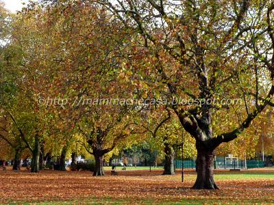 Impressioni d'autunno